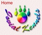 Main Page